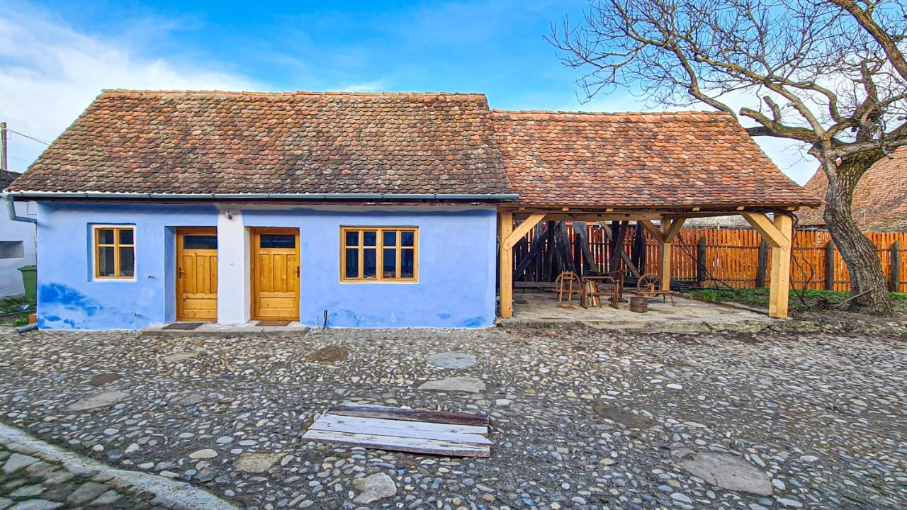 Haus Rether - Transylvanian Guesthouse Bunesti  외부 사진