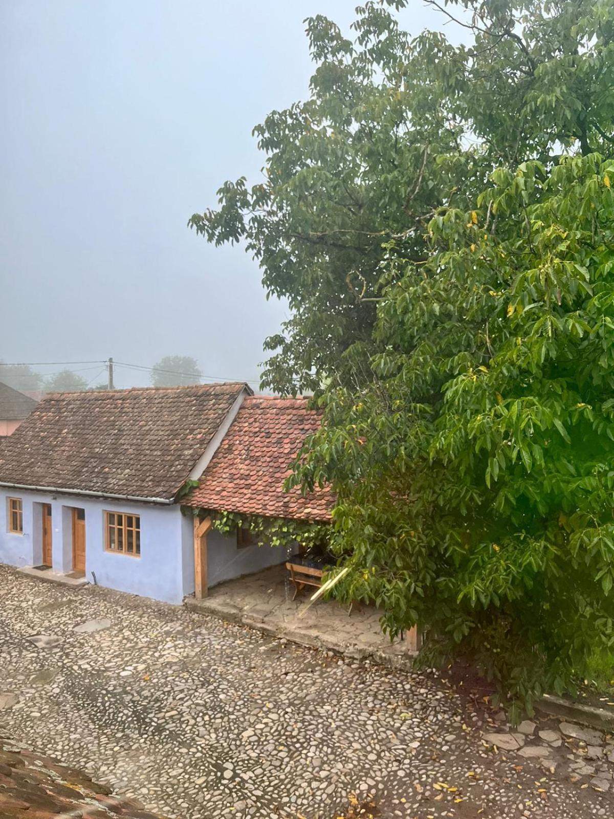Haus Rether - Transylvanian Guesthouse Bunesti  외부 사진